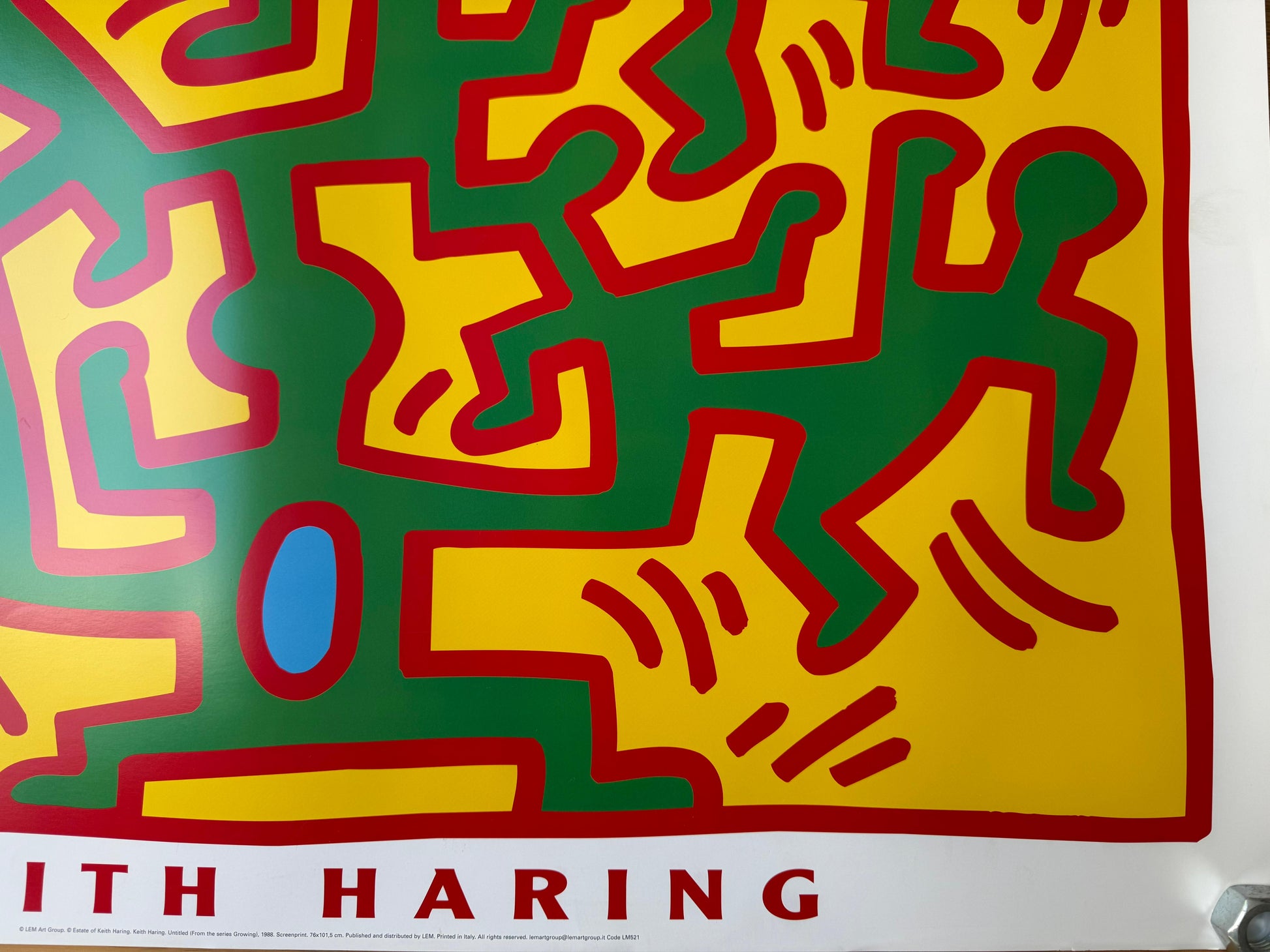 Keith Haring : Growing 2