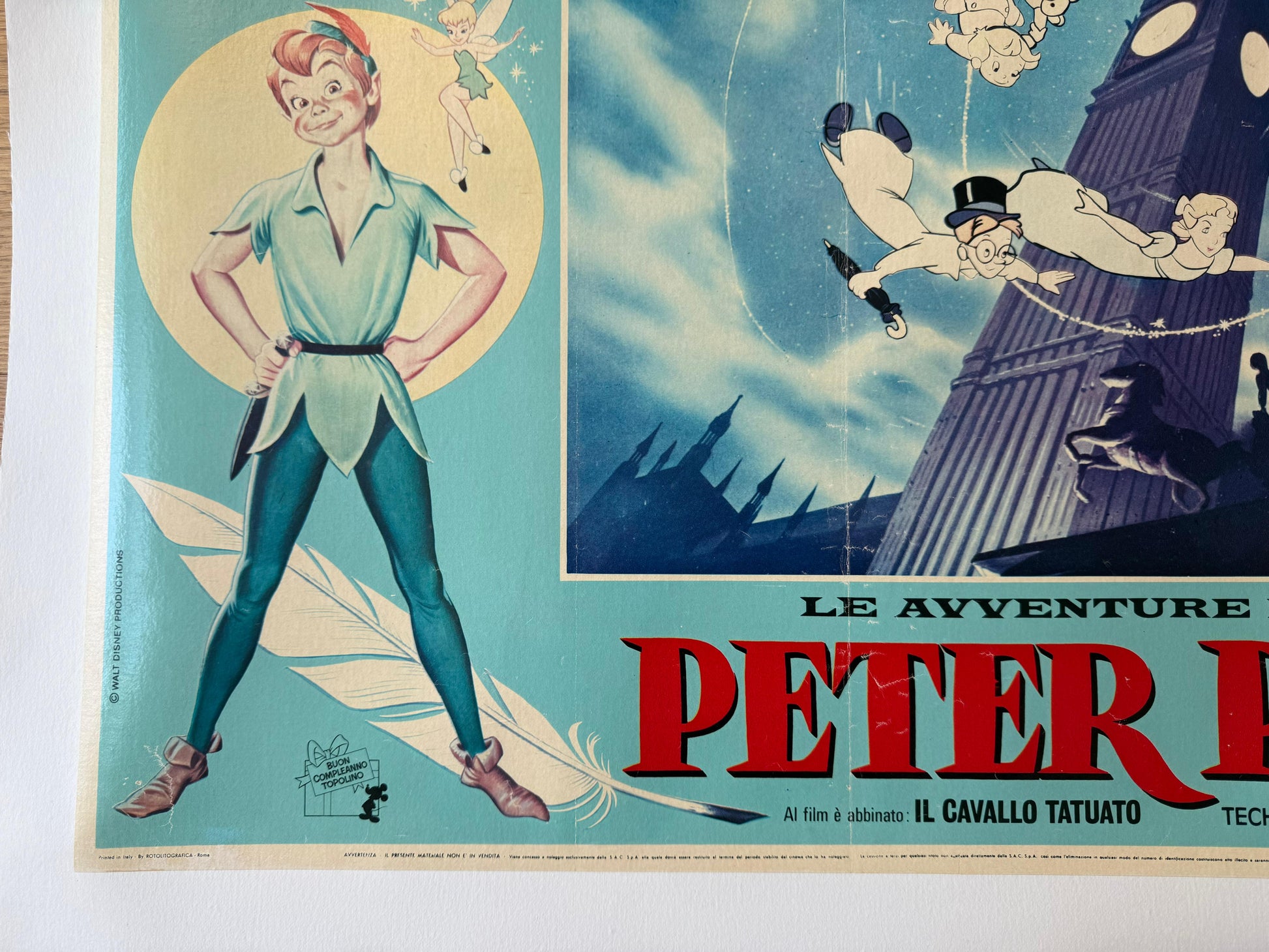 Disney : Peter Pan